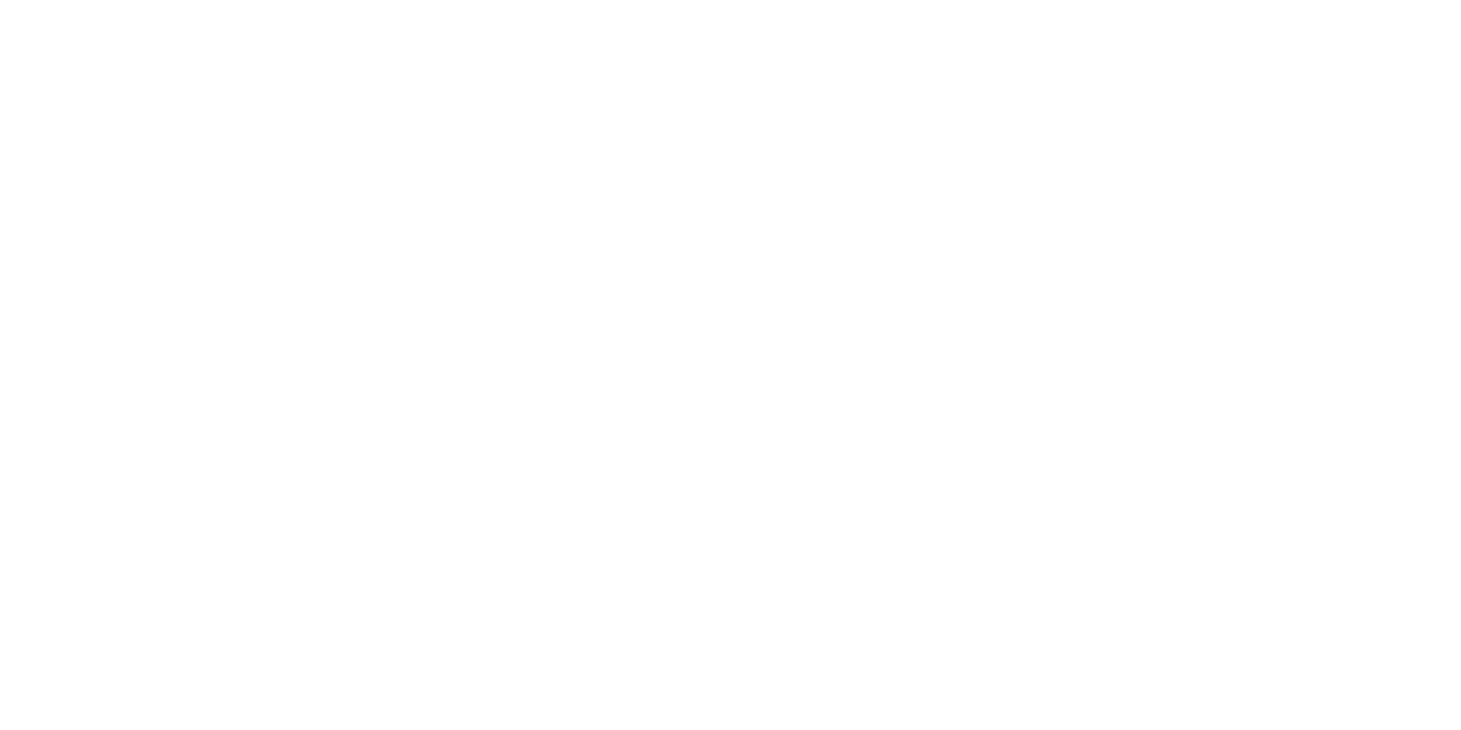Datarize_Logo_Primary_Reverse-1